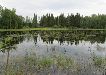 Hälsingesjö. Foto: Bo Ulfhielm Hälsingesjö. Foto: Bo Ulfhielm