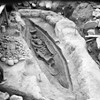 Båten under de arkeologiska undersökningarna som genomfördes under åren 1952-1953 vid Tuna, Badelunda. Foto: Västmanlands läns museum